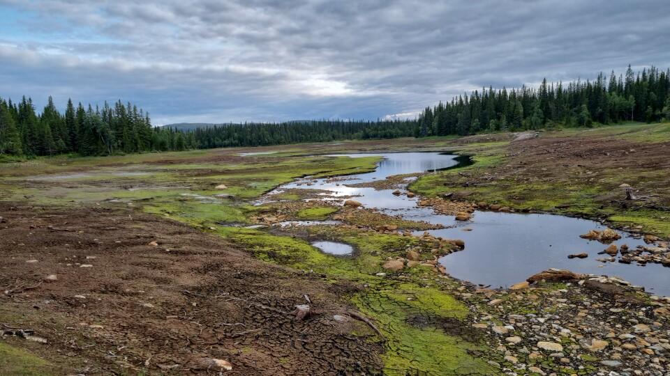 Greningen nedre.