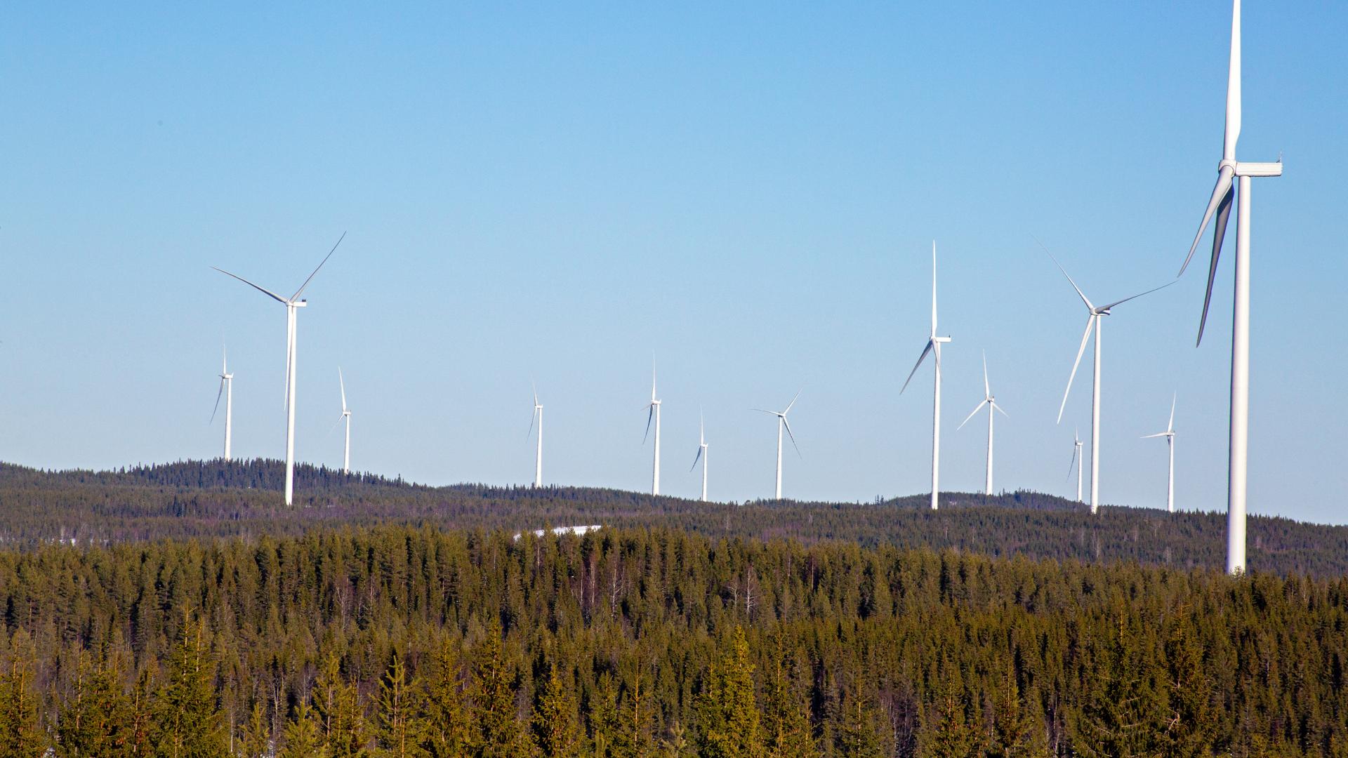 Vy över Hocksjön vindkraftspark.